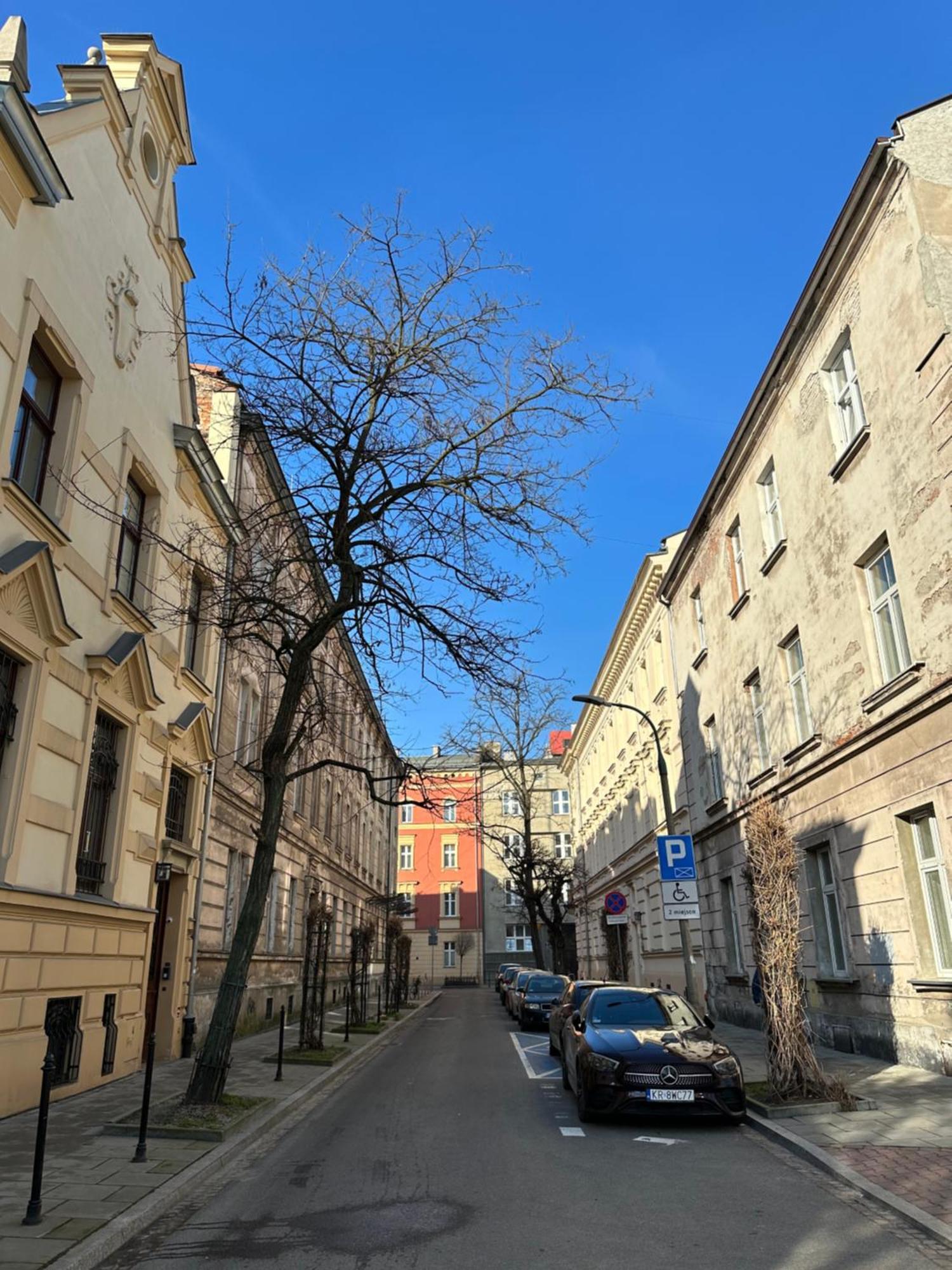 Perfect Place To Stay In Krakow City Center 28M2 W1 Buitenkant foto